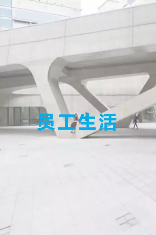 贝卡尔特开展2023身心健康周活动